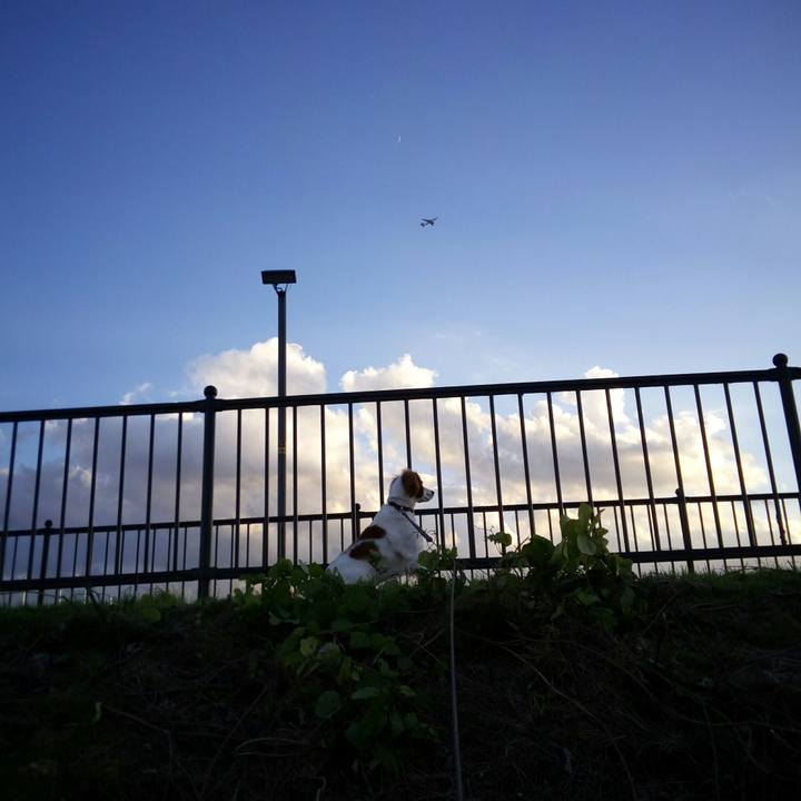 29c1d7d4 bc5d 4fe4 b8c5 bc9df0871195 1511512443684