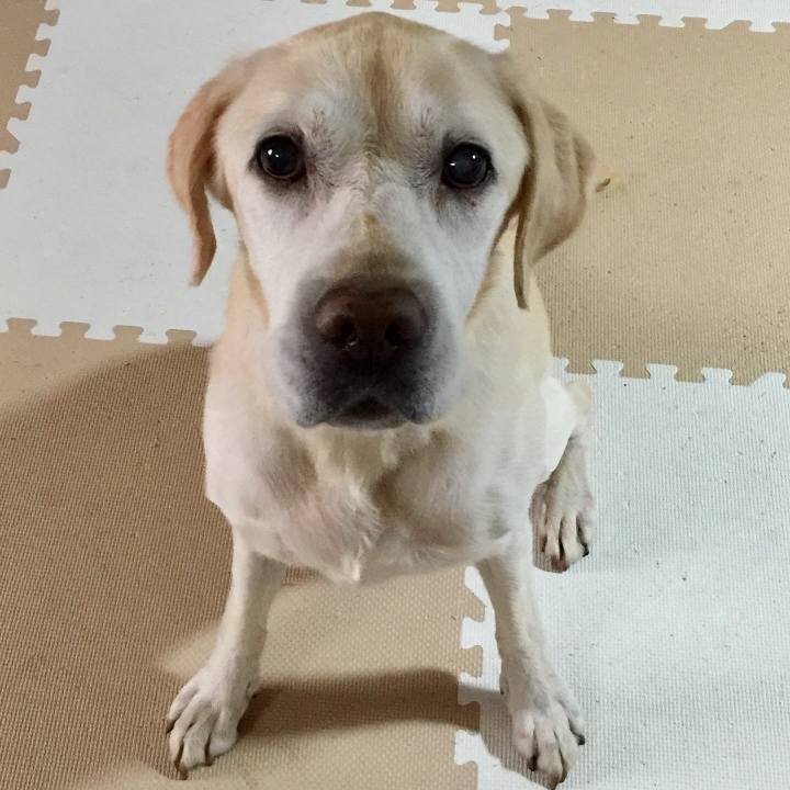 29c21b0e 8231 477e 92c9 fc90117e17cd 1565673823536