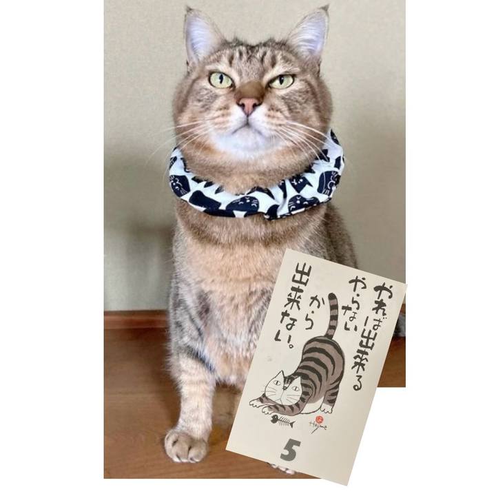 29c2201e 3d07 46ac 8747 c7c61d66dc21 1764892126029