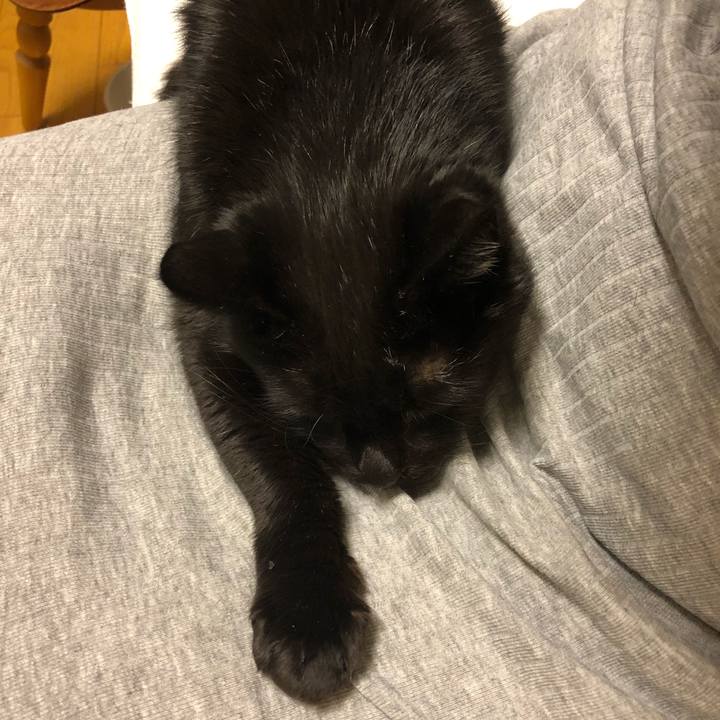 29c24c11 d6e5 4d99 8c55 92786a061a7f 1574945202685