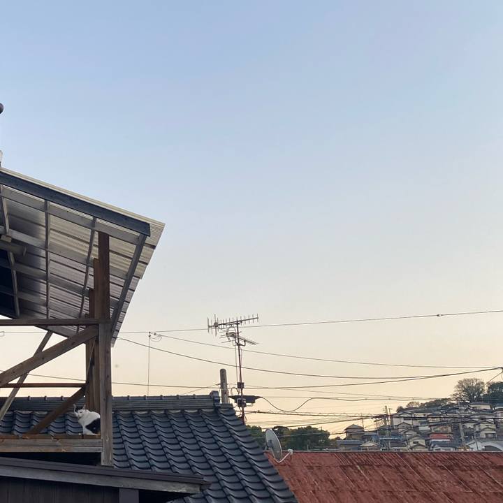 29c2caaf 0201 4274 8b81 7d1e06fe9296 1638794666483