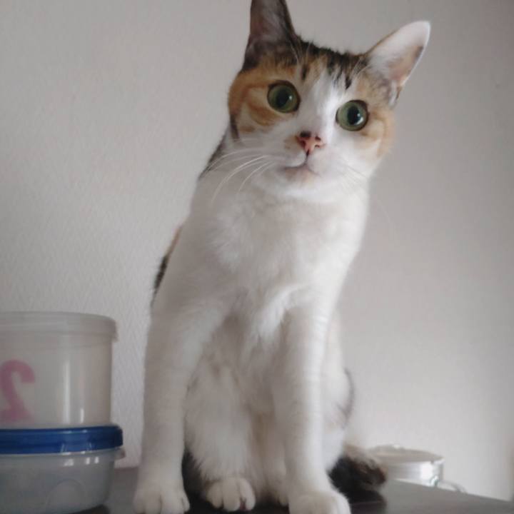 29c2d5d7 7305 4d7e 8b81 ef71d989be8a 1651552612413