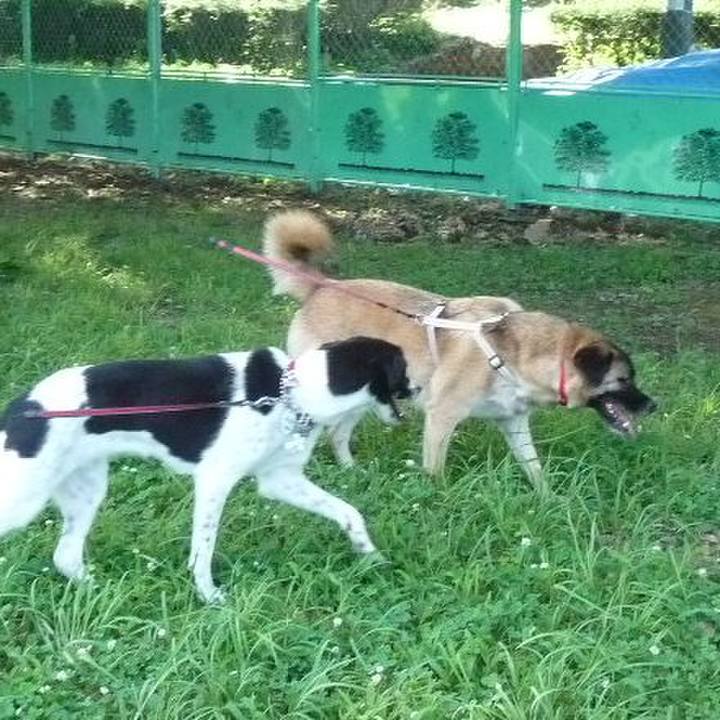 29c2f8e5 2bcc 45c8 a5ba 81baca20b8fa 1683074906670