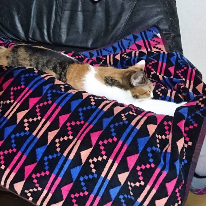 29c30182 3c19 4aa1 a01b 88be9f24871d 1577864631590