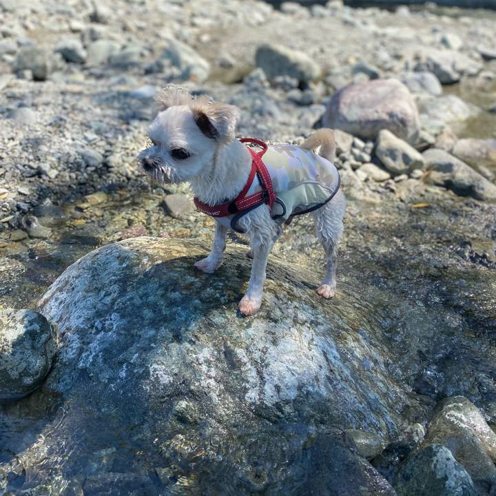 29c30f82 1011 4271 8826 9ea6f3012f20 1662884238091