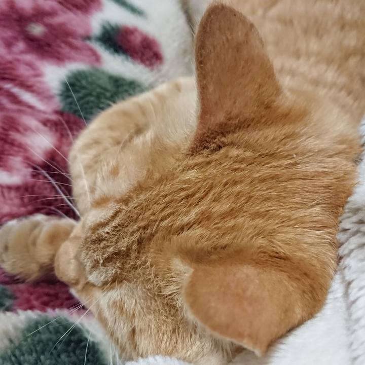 29c35460 1076 4db9 b5ee b106bc3c4d66 1637325822833