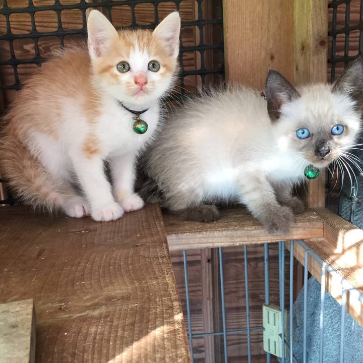 29c355be 3cc5 4b20 b9f8 788f26ca7c29 1572912937625