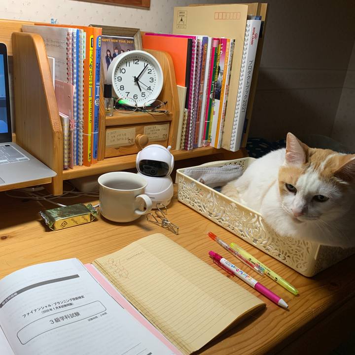 29c36236 5f91 4a7e 8a0d 9f340e4c3ca4 1652389514176