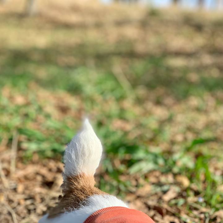 29c38042 7432 4844 8197 27de28dc0fe1 1616582576517