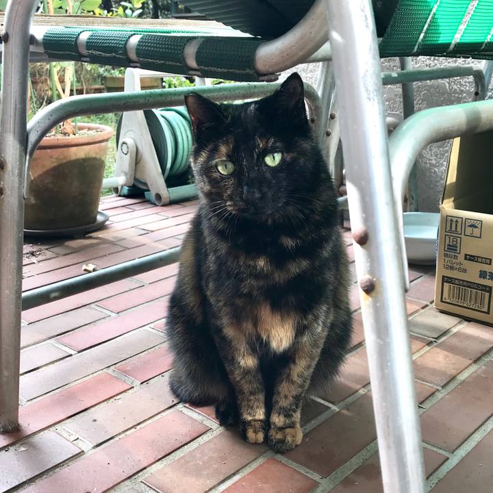 29c3b472 7fae 4daf 88f9 c9eb36294223 1510291328637