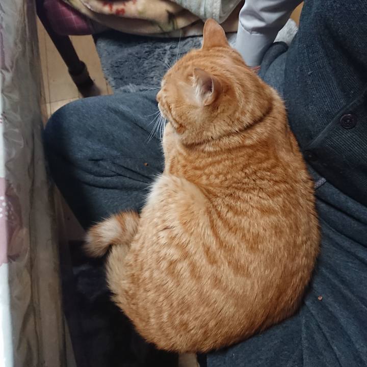 29c3c64b 36a5 4951 accf 8c8f43d69240 1649403638627