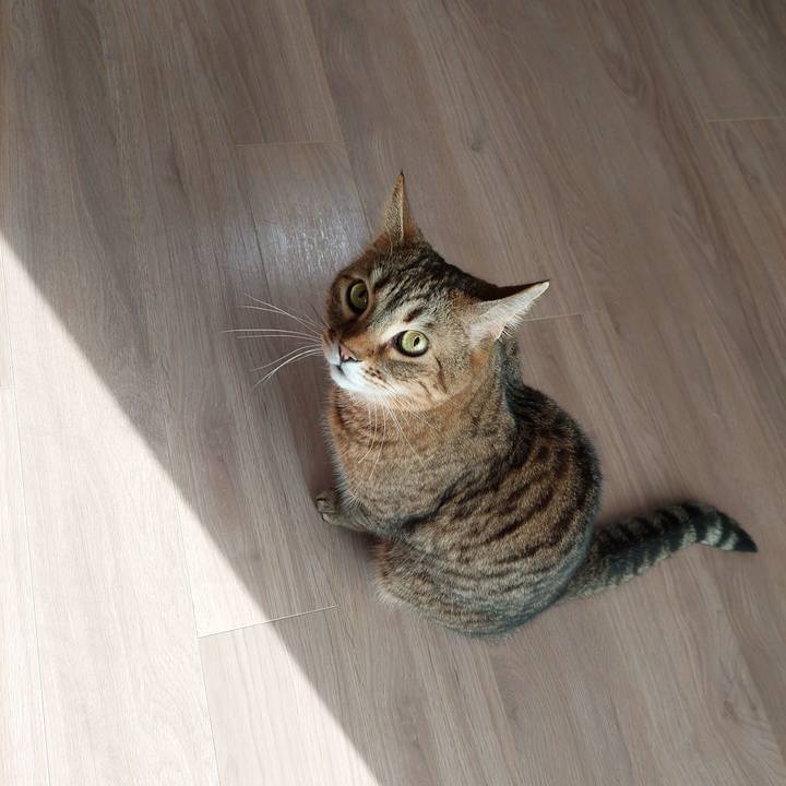 29c3c694 8f78 4687 81b4 d704713f28f0 1640391188841