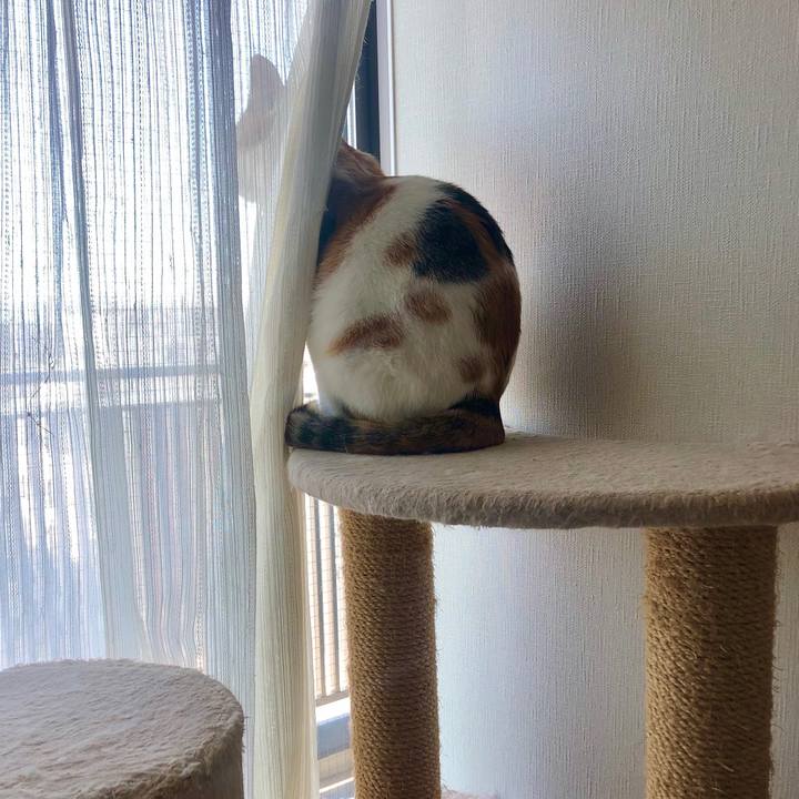 29c3c7c5 f76a 4869 acd5 49ad2beccab4 1587264411631