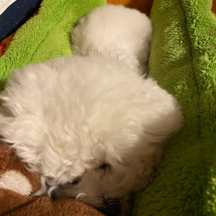 29c3ed3e 4227 4aa9 9356 5fa842ef08f3 1615294456487