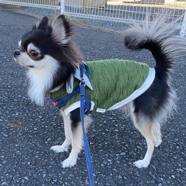 29c3f00c cb89 416d afa8 de8f182b2c9e 1638021773311