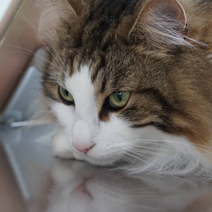 29c3f6db 815e 41b1 acea 1944e2635181 1558230725571