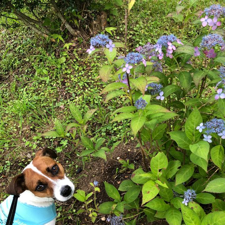 29c405a7 ac05 4cc9 8157 a46d1173789f 1562645530586