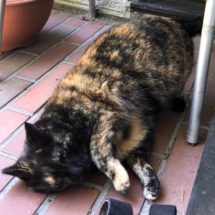 29c4113f d26d 4897 82b1 72f8c3aa829f 1620266479203