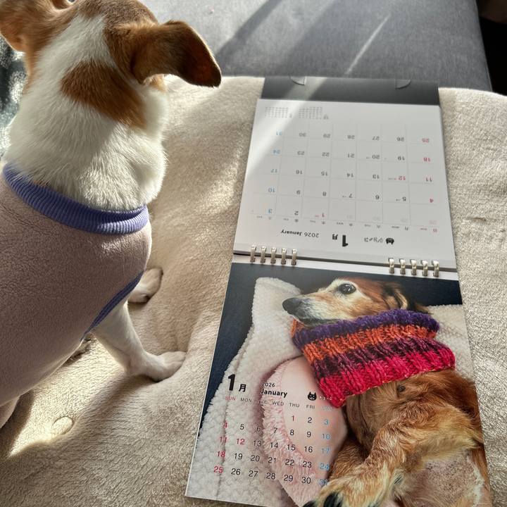 29c41ecd 58fb 4992 990d 2a52ca176c9d 1763965309432