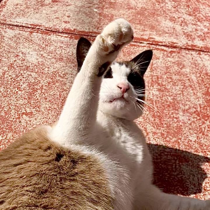 29c43983 6c3d 48eb 8fb2 52de30335917 1742471457506