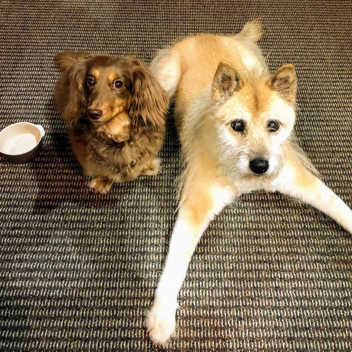 29c43c24 77ec 4536 8f6a 78ac442a67c1 1594910577016