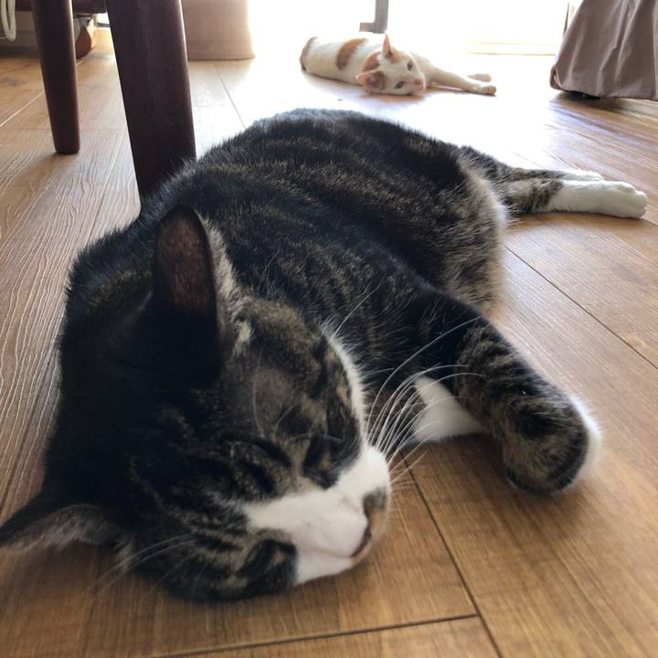 29c44441 0d62 499d 8479 9b0f433aa995 1632016057540