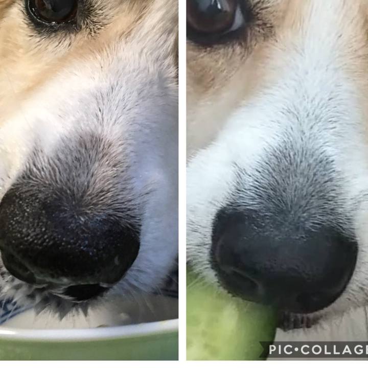 29c45106 8921 445f b7ab c9ed70b541c0 1573972732633