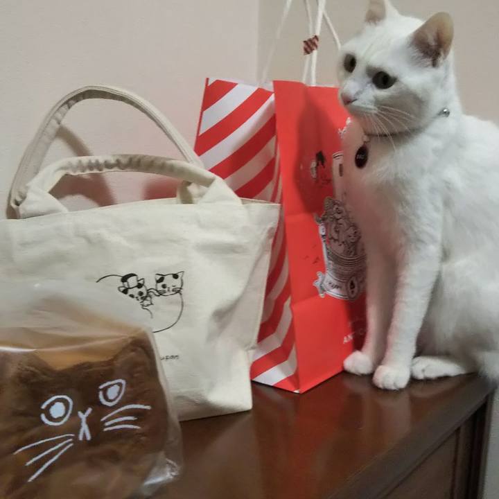 29c45fe4 61b3 4b3b a6ab 38b0dd685727 1641247656209