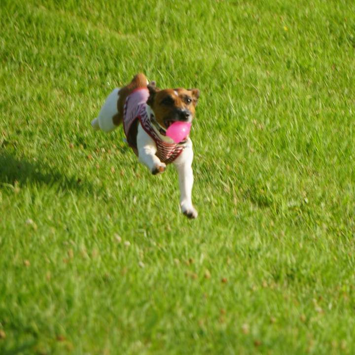 29c47ee8 cc03 4093 a689 fc8fbe9b2eeb 1531263712810