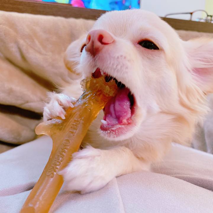 29c499e5 9a47 4f0a ace8 9d4e904530f0 1635945838104