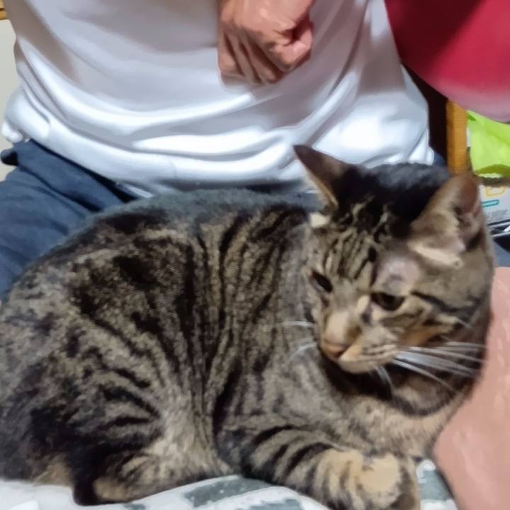 29c4a5c0 3eea 4687 82e9 65a917f50607 1758107903543