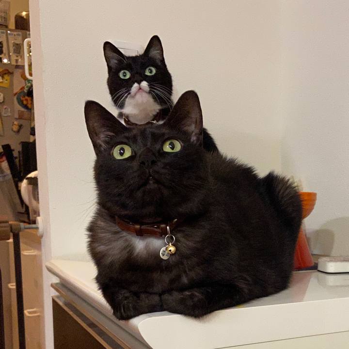 29c55bde 6dca 4385 8475 ec5862f8f428 1658498400866