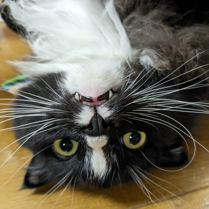 29c57cfd 3ccc 4397 adb4 c17781aa4078 1699847202849