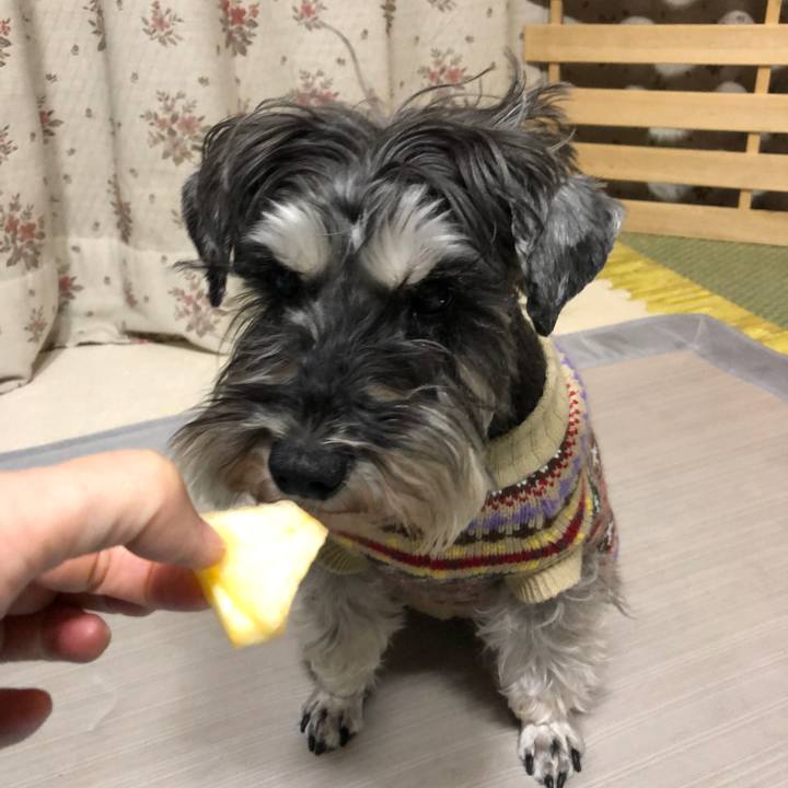 29c58832 a754 490e ab1f 738f4529f47b 1614449513086