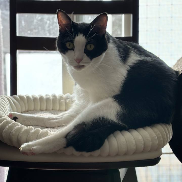 29c5a0c2 cae7 4623 a82f 9ec1d3b22dcc 1763686843479