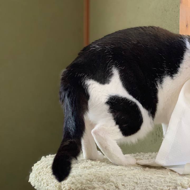 29c5a9c7 b213 4c4a 935e 4992afd37fda 1555898453113