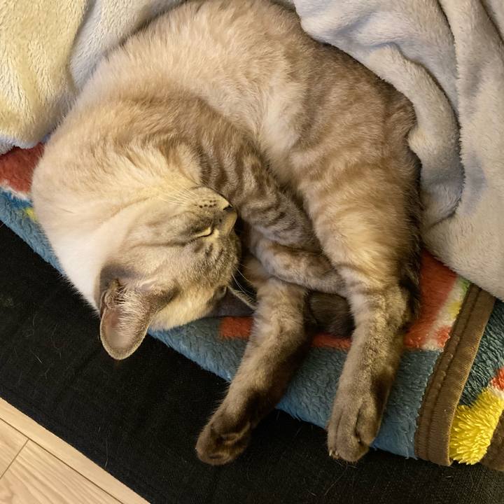 29c5d6a1 af64 4cd6 8c01 23d90837ecb4 1669116982596