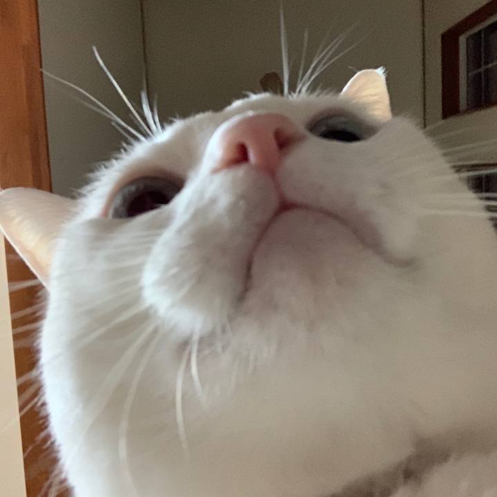 29c60634 f3fd 463c 81c9 545c35881568 1572168934002