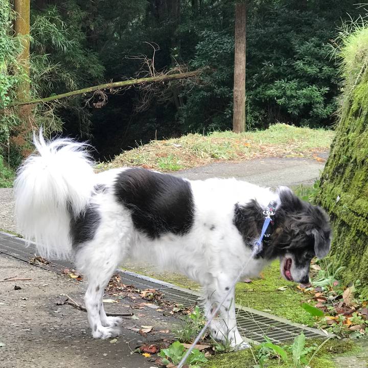 29c6190e 4076 479a 83c7 5633d0329a58 1538386292648