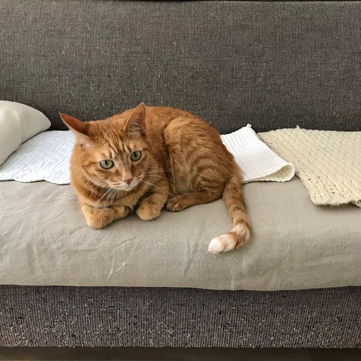 29c68e4c 2b78 4607 b8ac 52a5c8634dc1 1528348400782