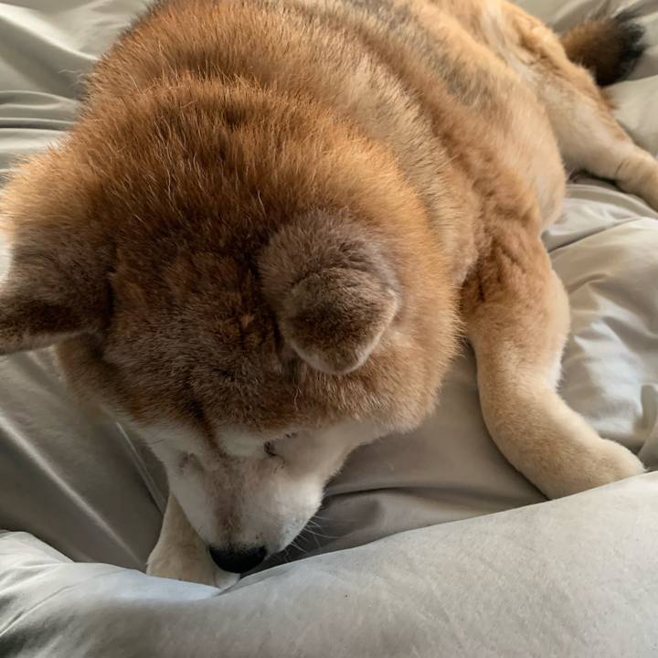 29c6c6ff e063 411a 82d1 eff9e74bd3cd 1648859312742