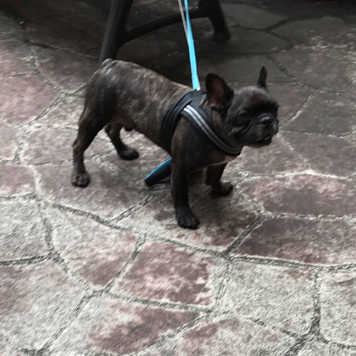 29c6d746 a04f 479f 8482 f998b6562cd4 1598934593312