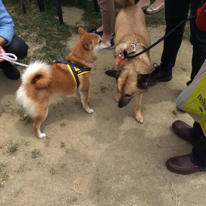 29c700c9 13f2 45fc 8c33 68a9c5af6a8d 1558329286841