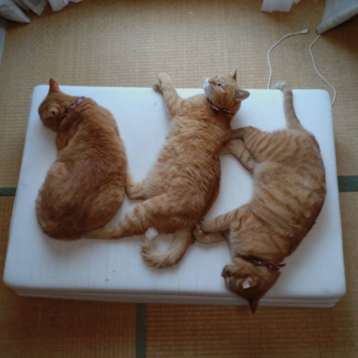 29c7055b 6a6e 457b 9bc7 4d97207e71a8 1631757897391