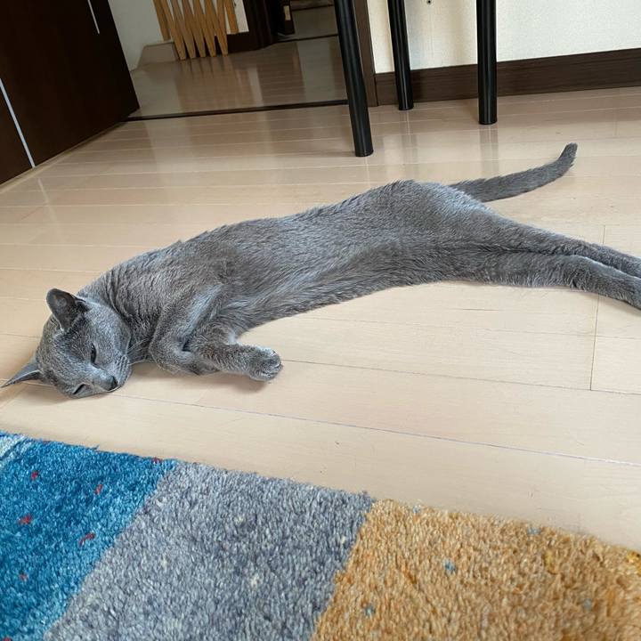 29c7224c 18ec 4170 8ba7 3fc0d215367d 1591531754040