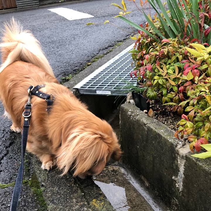 29c72947 1cbf 421b a9ca c48582aa7dcb 1523745648056