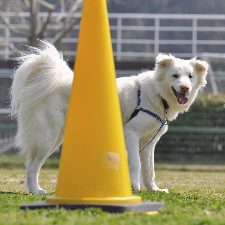 29c74bcd c39d 44c0 b95b 7142fbb50086 1522061951322