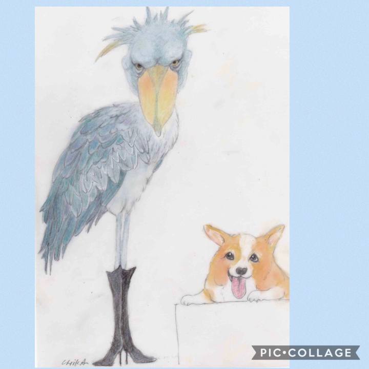 29c7638b 1bed 4fca 9542 9fcd10eef0b5 1586616392354