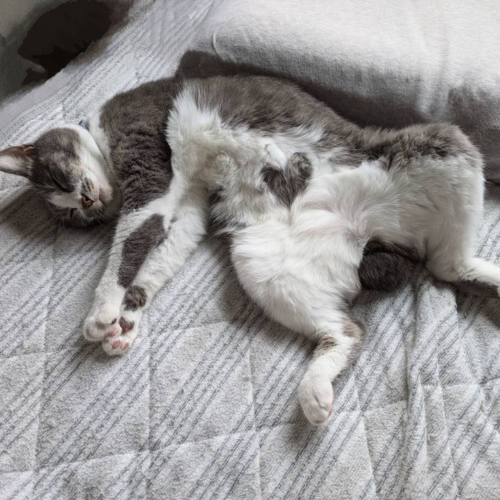 29c7651d 0ea5 4f1d 9b24 3a961fd38e4d 1729123827385