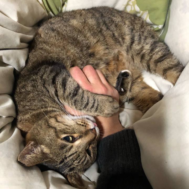 29c768f7 6147 4bc4 8674 e844919db5ca 1610546024175